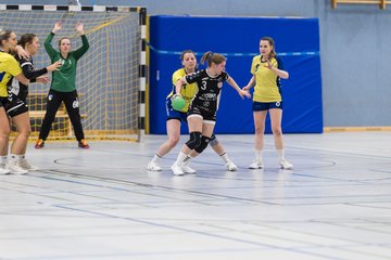 Bild 96 - F HSG Pinnau2 - Rellinger TV2 : Ergebnis: 27:20